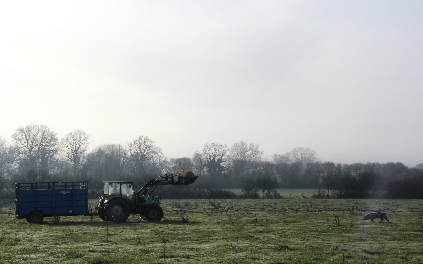 1031 From Farmland Into Minerals
