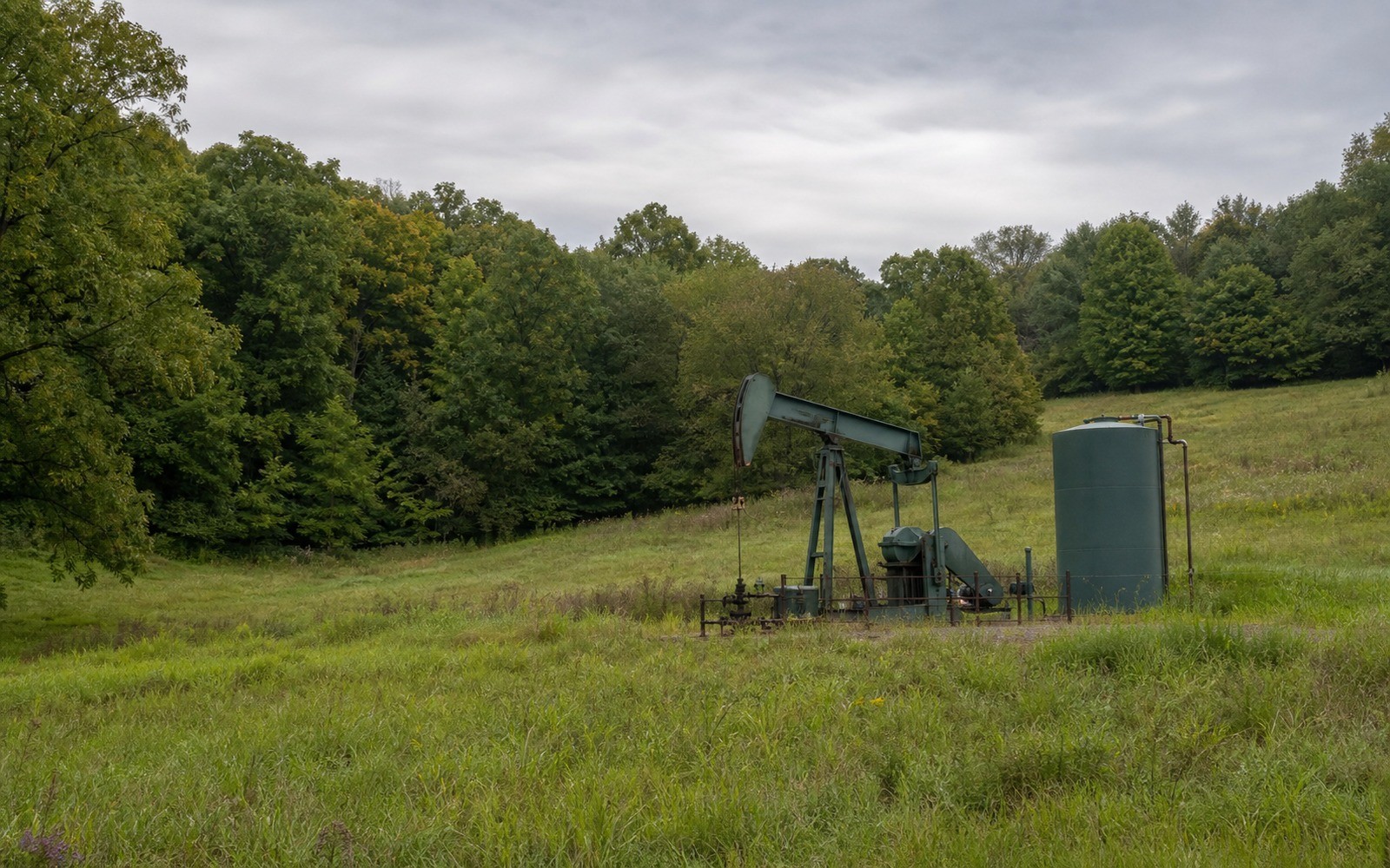 Surface vs. Mineral Estate