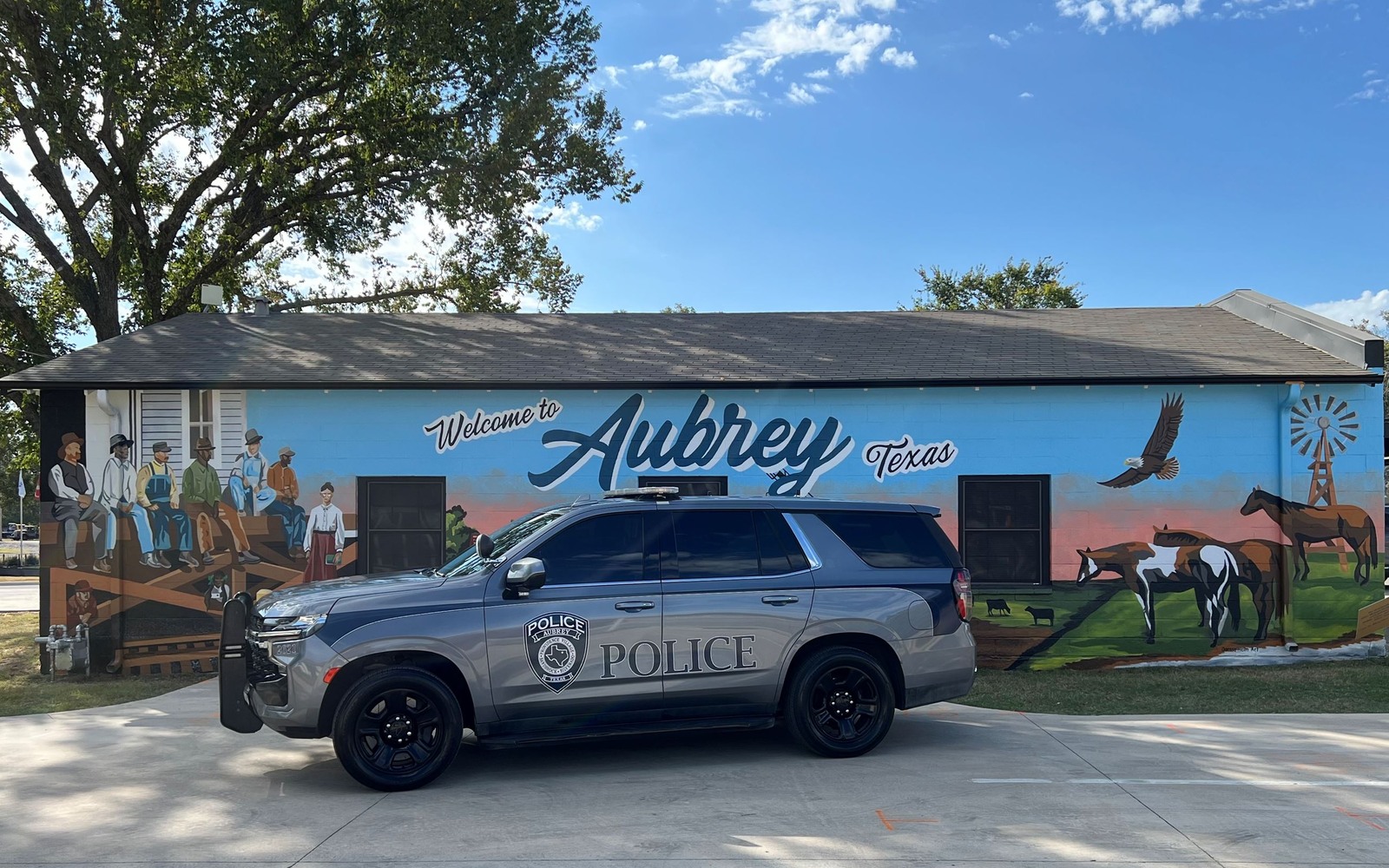 Sell Mineral Rights in Aubrey, TX