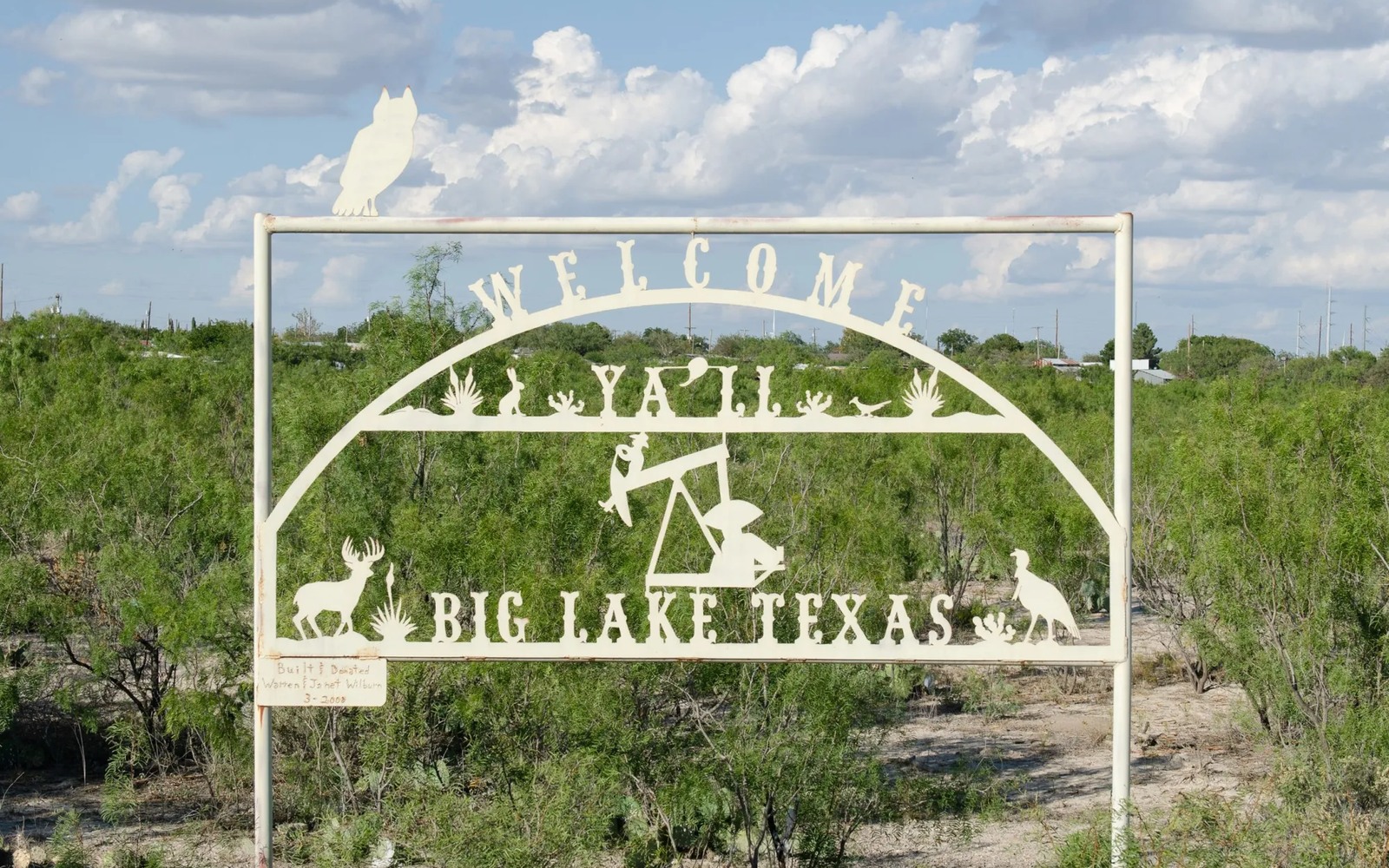 Sell Mineral Rights in Big Lake, TX